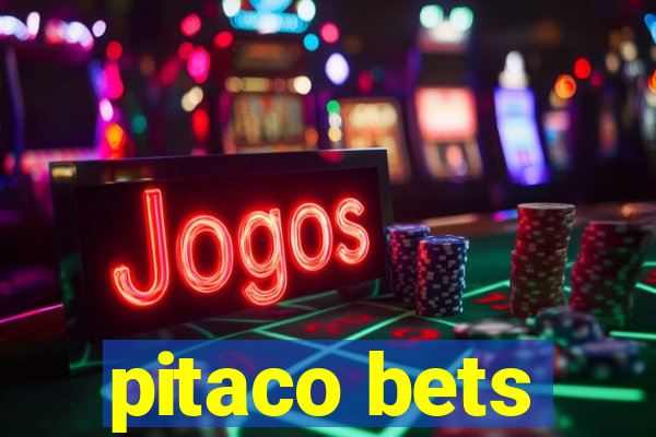 pitaco bets
